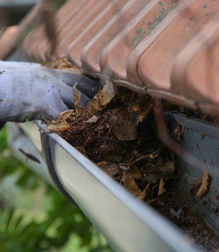 Nettoyage à la main des feuilles accumulées dans une gouttière