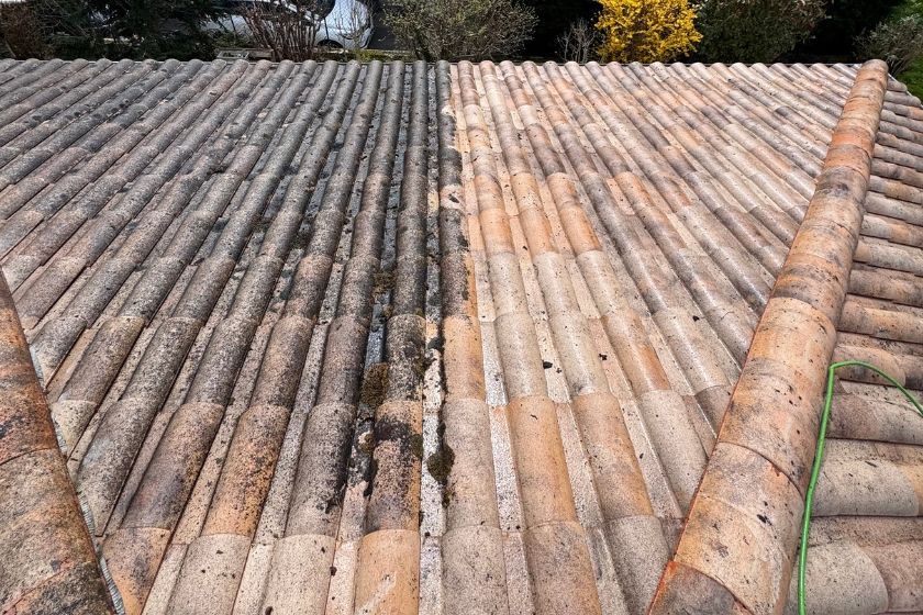 Toiture entièrement recouverte de mousse